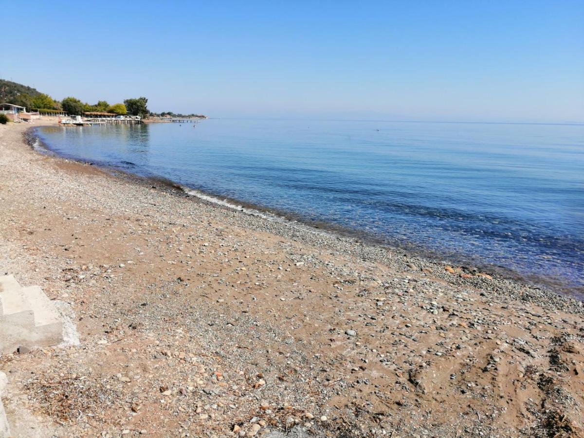 Assos Yali Butik Otel Beach Ahmetce  Kültér fotó